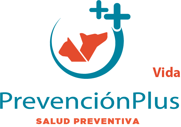 Logo Plan Vida