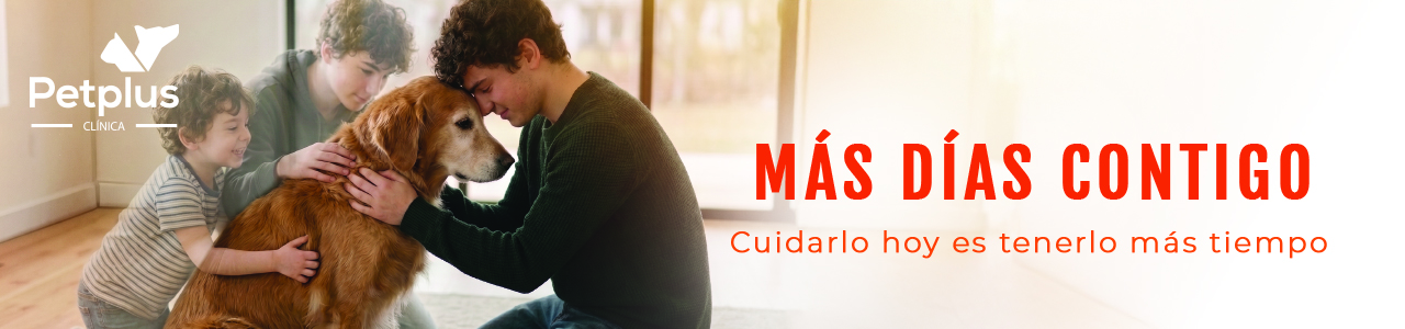 Petplus Clínica Veterinaria · Más días contigo