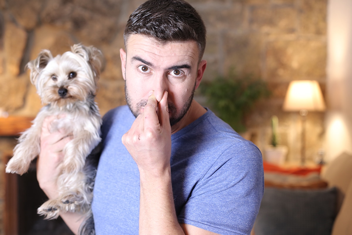 6 tips para mejorar el olor de los perros