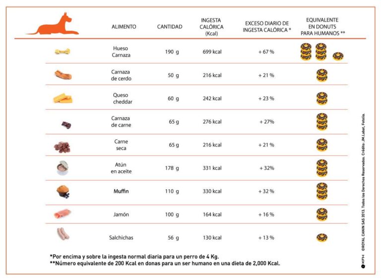 Plan de nutrición para perros y gatos