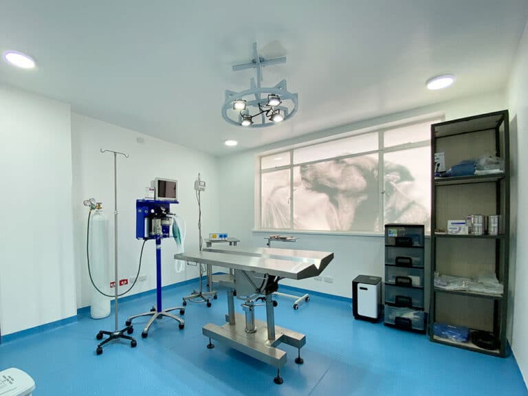 Hospital Veterinario Virrey - Petplus Clínica