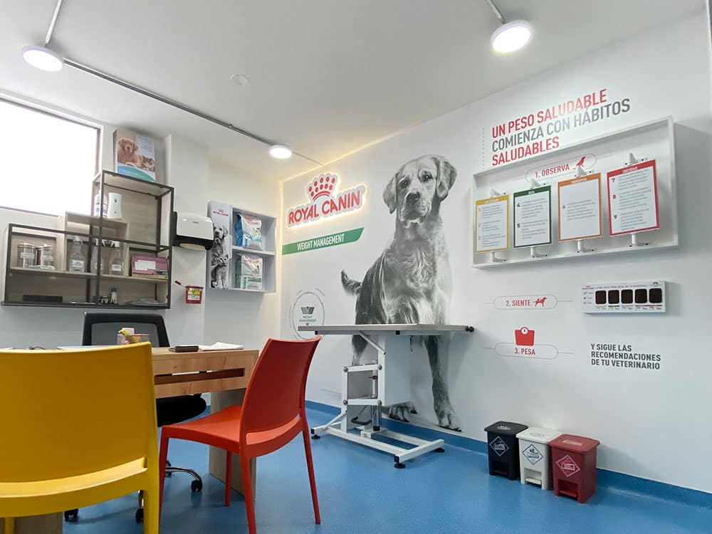 Consultorio para perros Hospital petplus