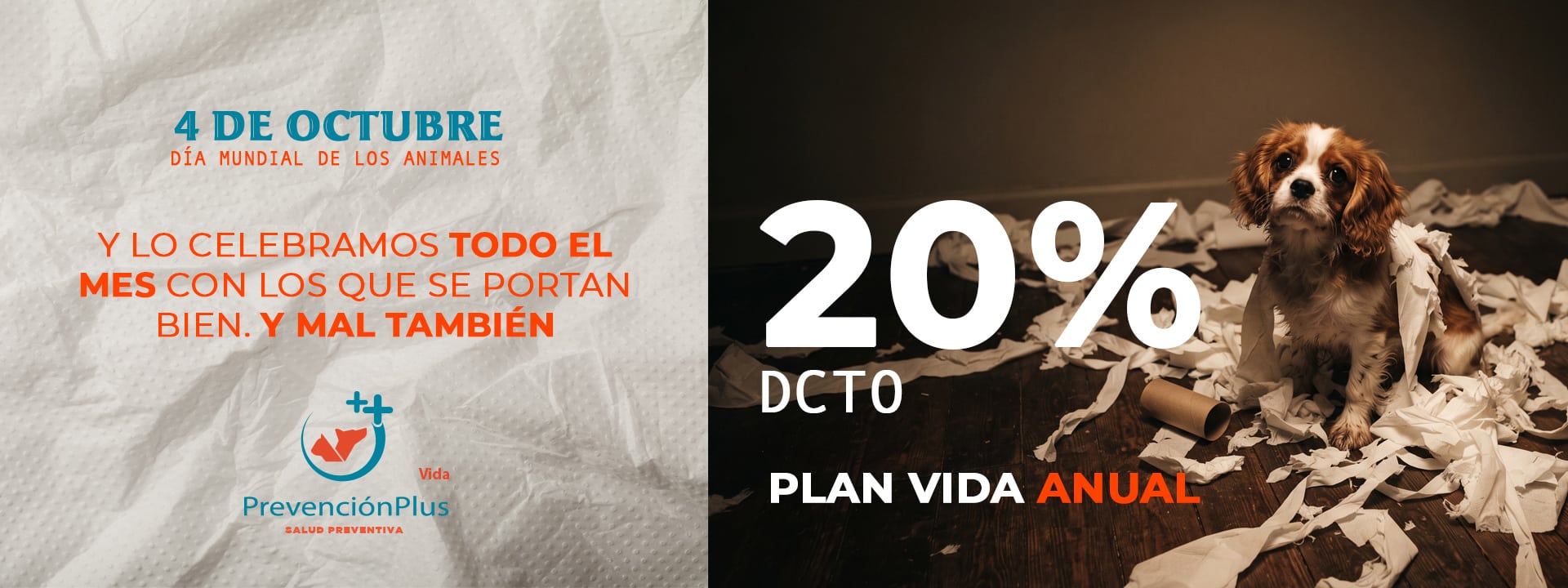 Plan de salud para mascotas